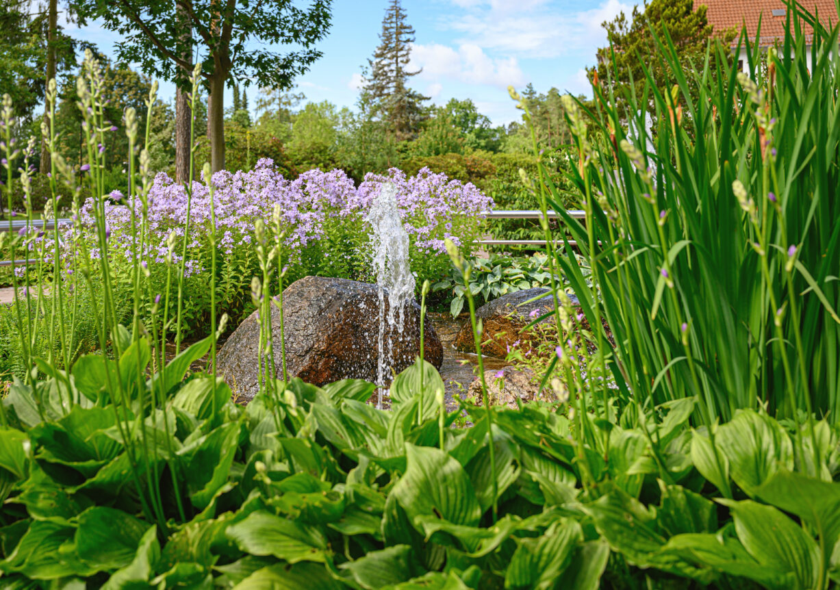 Fachkrankenhaus und 
Reha-Klinik 