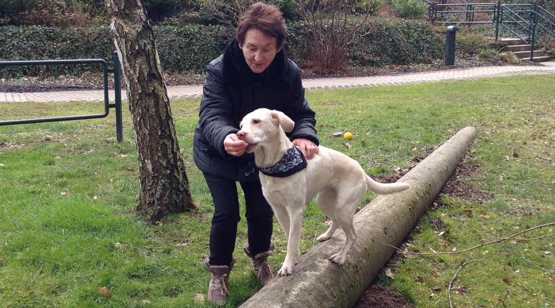 Tiergestützte Therapie durch Hund Lea mit einer Patientin im Außenbereich