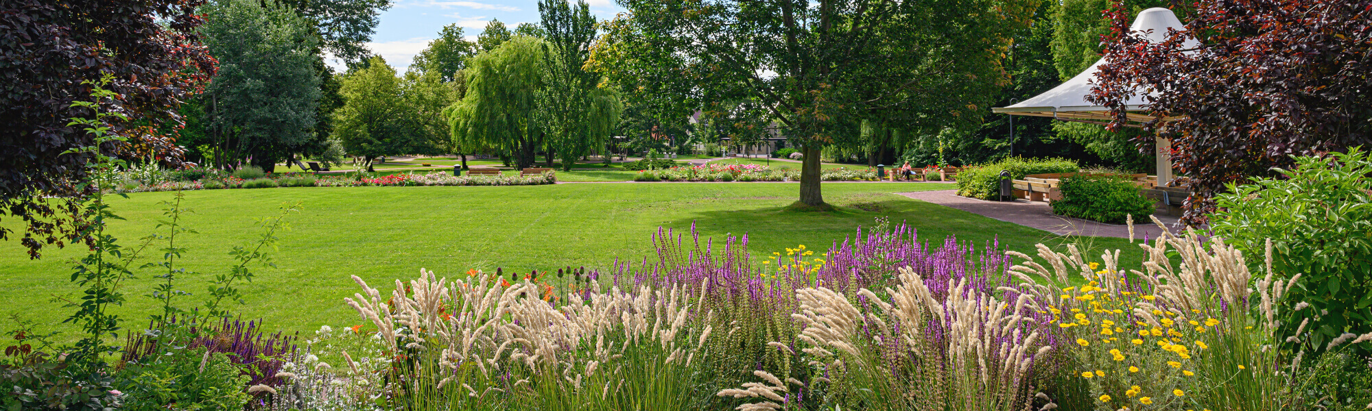 Der Kurpark der Moritz Klinik