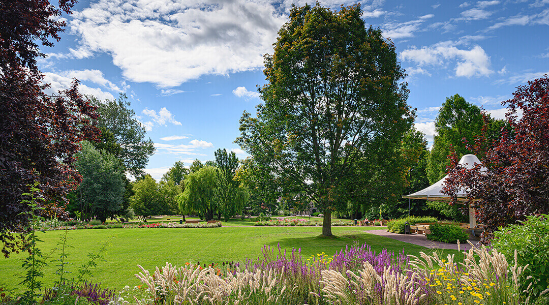 Der Kurpark der Moritz Klinik